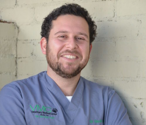 Dr. David Tentser