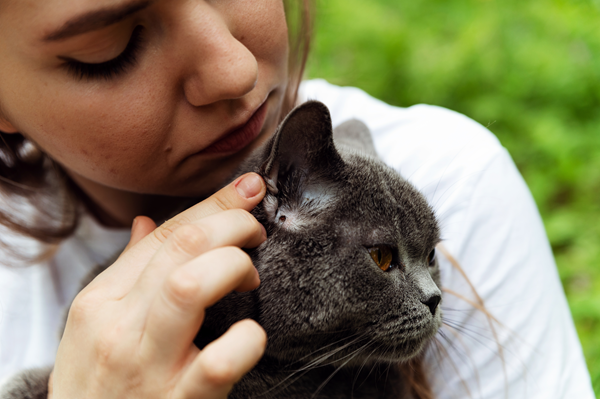 image for Bite Them Before They Bite You: Why Tick Prevention Matters More Than You Think