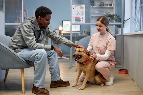 image for 10 Things Veterinary Technicians Do That Nobody Notices (But Should)